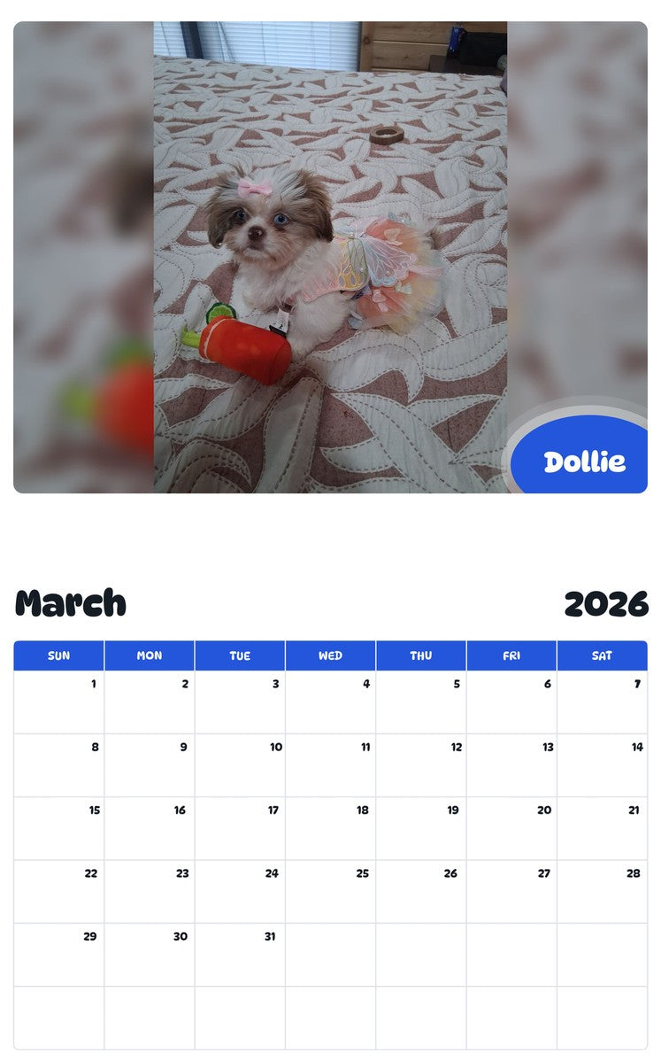 November 2025 - October 2026 Dollie - Pawidols Pet Calendar