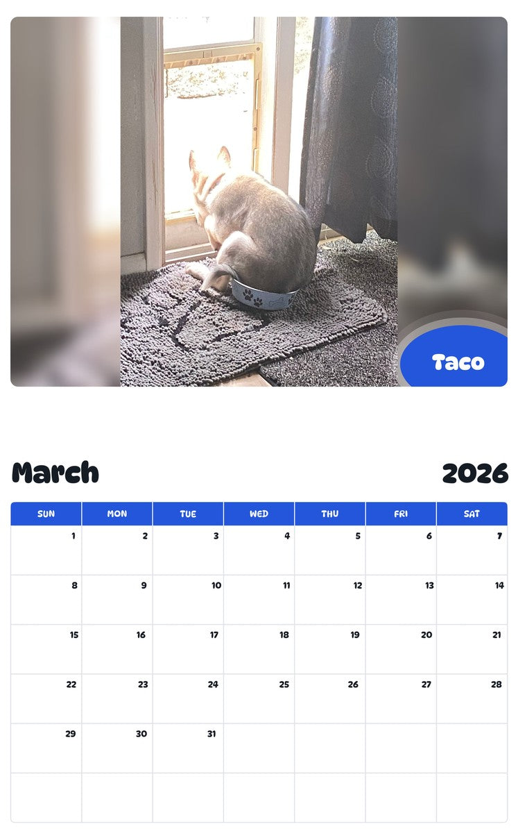 November 2025 - October 2026 Taco - Pawidols Pet Calendar