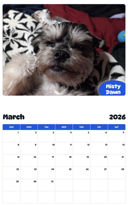 November 2025 - October 2026 Misty Dawn - Pawidols Pet Calendar