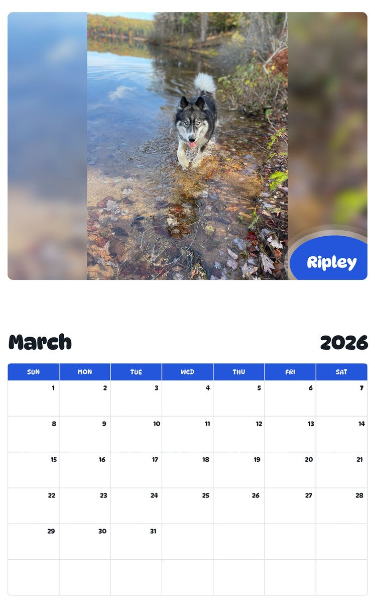 November 2025 - October 2026 Ripley - Pawidols Pet Calendar