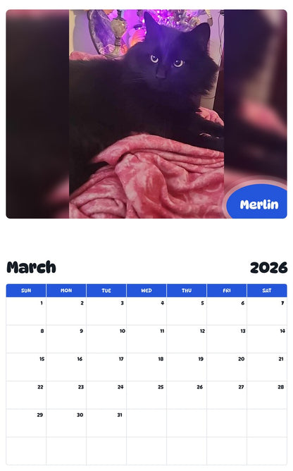 November 2025 - October 2026 Merlin - Pawidols Pet Calendar