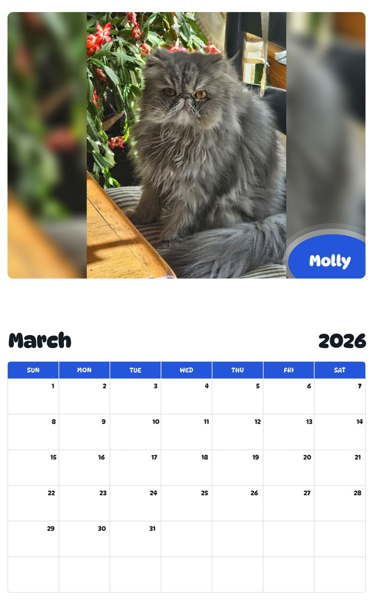 November 2025 - October 2026 Molly - Pawidols Pet Calendar
