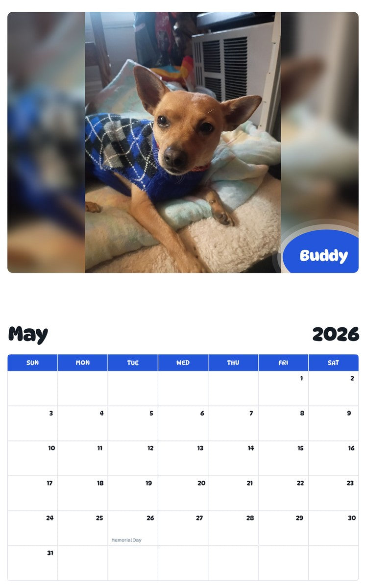 2026 - 2027 Buddy - Pawidols Pet Calendar