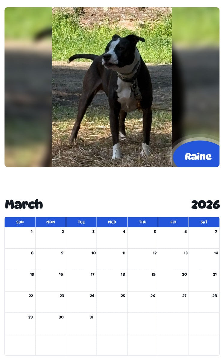 November 2025 - October 2026 Raine - Pawidols Pet Calendar