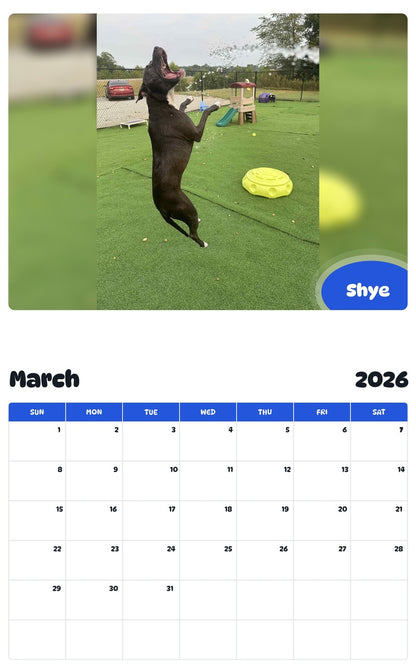 November 2025 - October 2026 Shye - Pawidols Pet Calendar