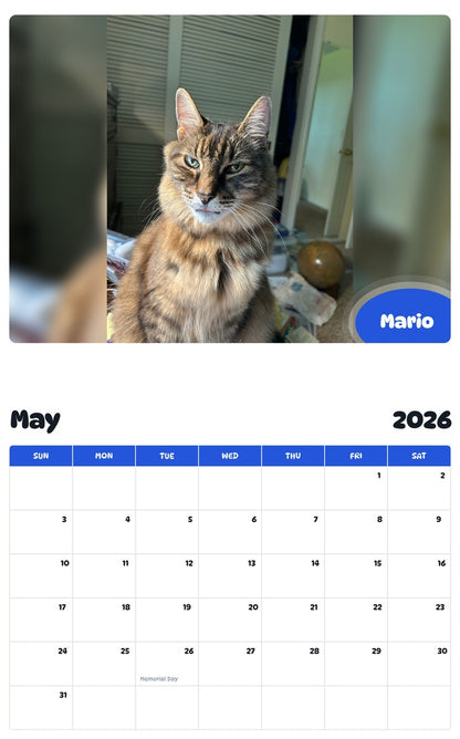 2026 - 2027 Mario - Pawidols Pet Calendar