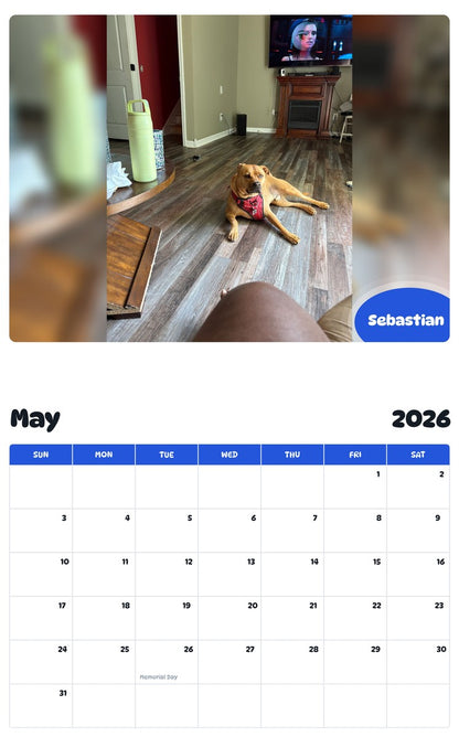2026 - 2027 Sebastian - Pawidols Pet Calendar