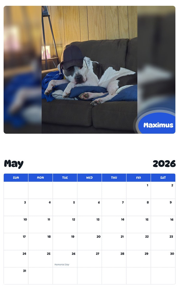 2026 - 2027 Maximus - Pawidols Pet Calendar