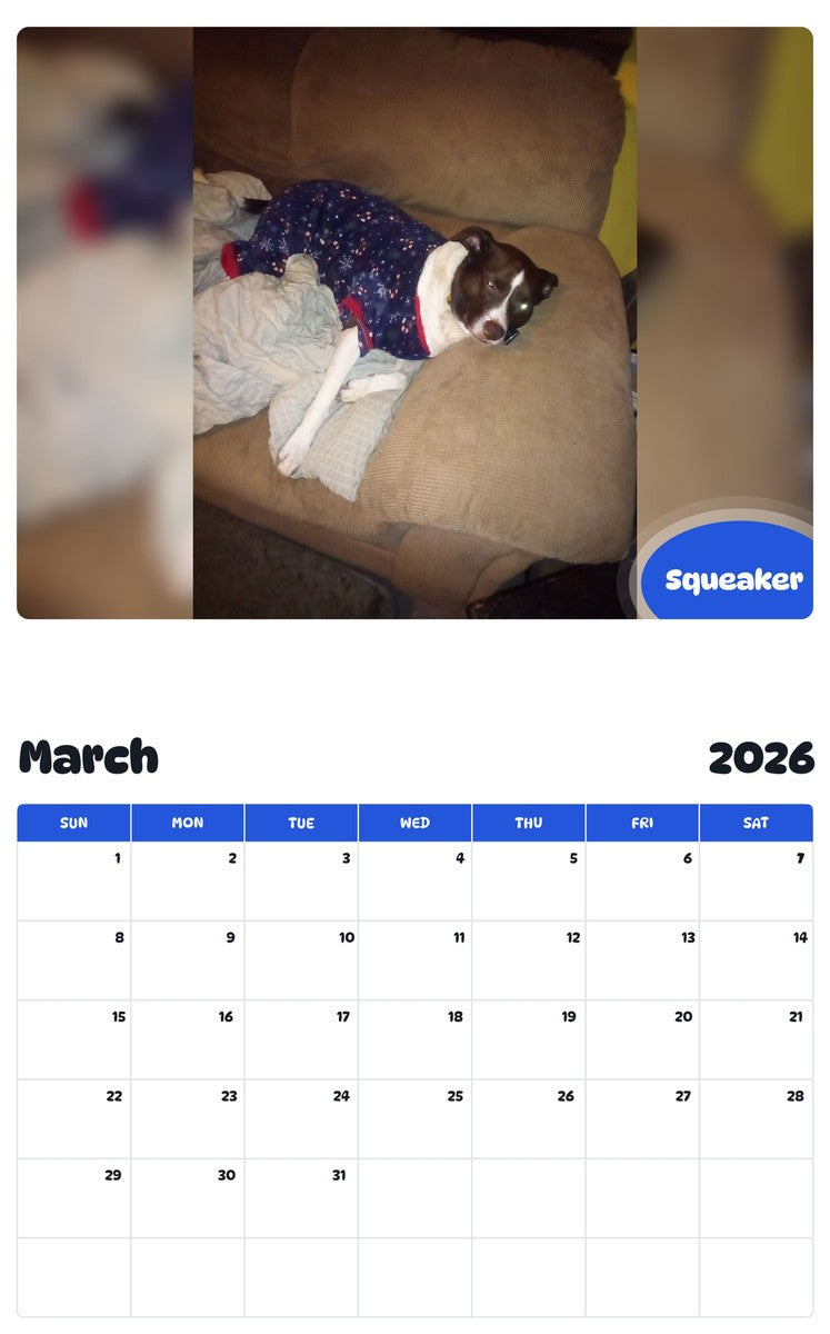 November 2025 - October 2026 Squeaker - Pawidols Pet Calendar