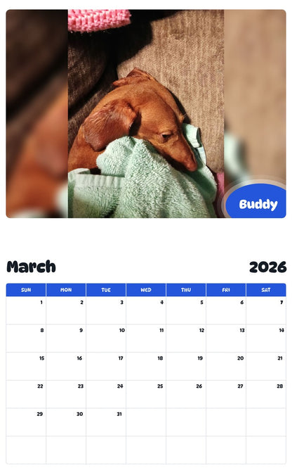 November 2025 - October 2026 Buddy - Pawidols Pet Calendar