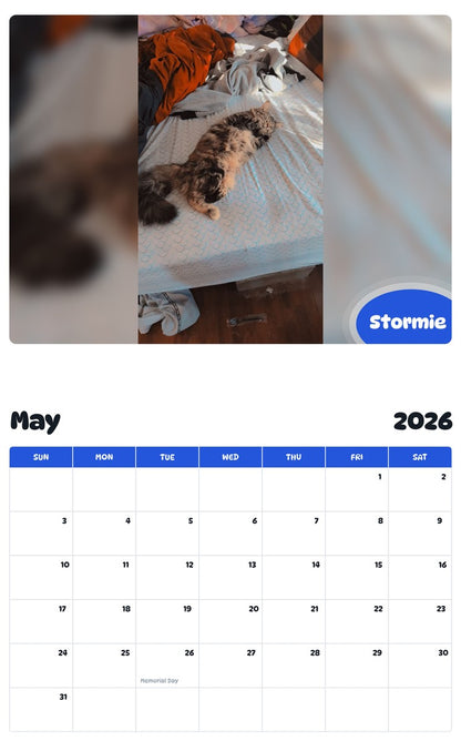2026 - 2027 Stormie - Pawidols Pet Calendar