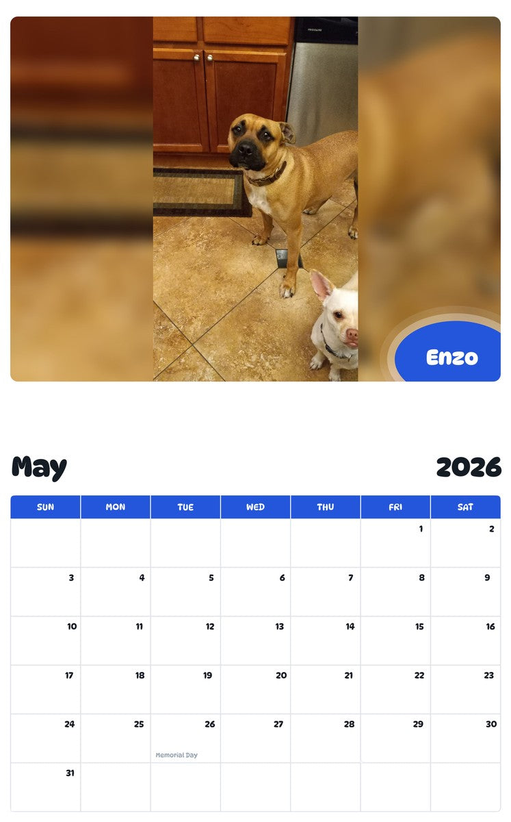 2026 - 2027 Enzo - Pawidols Pet Calendar