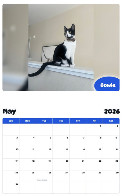 2026 - 2027 Bowie - Pawidols Pet Calendar