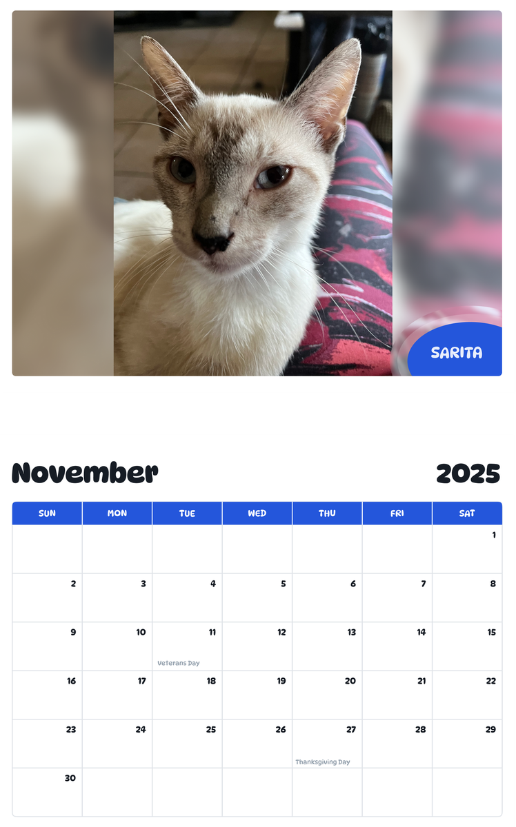 July 2025 - June 2026 Sarita - Pawidols Pet Calendar