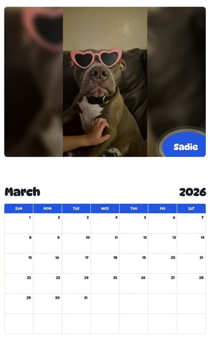 November 2025 - October 2026 Sadie - Pawidols Pet Calendar