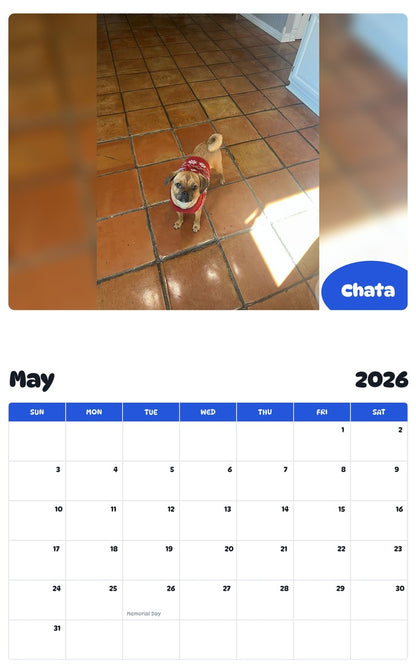 2026 - 2027 Chata - Pawidols Pet Calendar