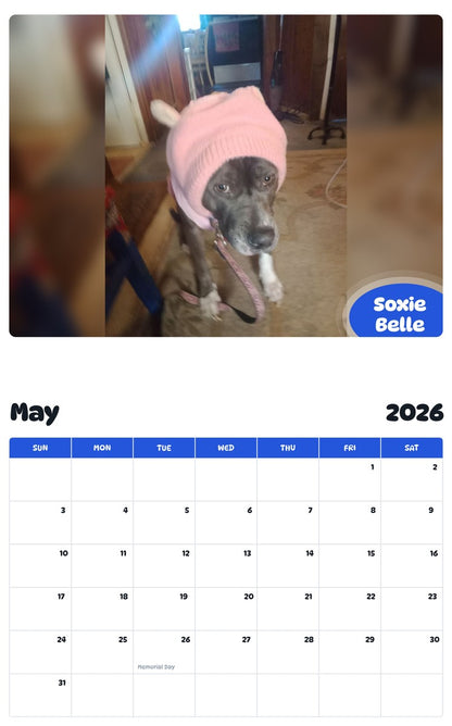 2026 - 2027 Soxie Belle - Pawidols Pet Calendar