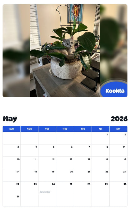 2026 - 2027 Kookla - Pawidols Pet Calendar