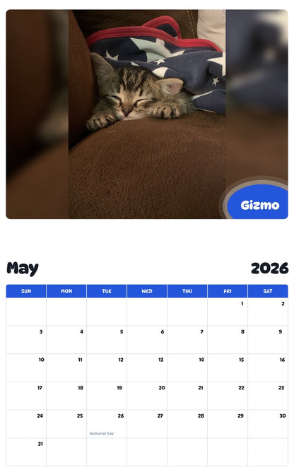 2026 - 2027 Gizmo - Pawidols Pet Calendar