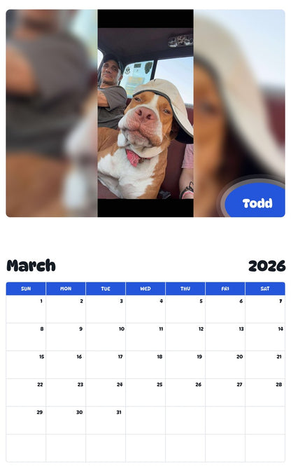 November 2025 - October 2026 Todd - Pawidols Pet Calendar
