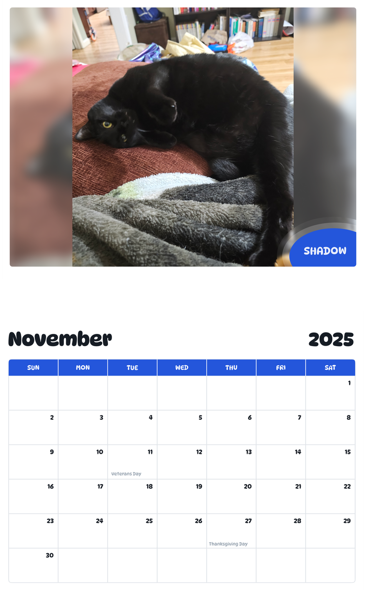 July 2025 - June 2026 Shadow - Pawidols Pet Calendar