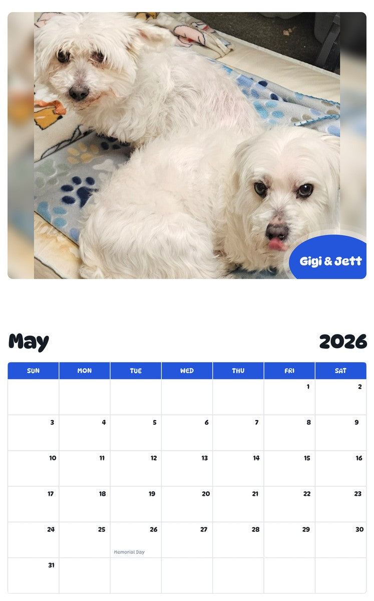2026 - 2027 Gigi & Jett - Pawidols Pet Calendar