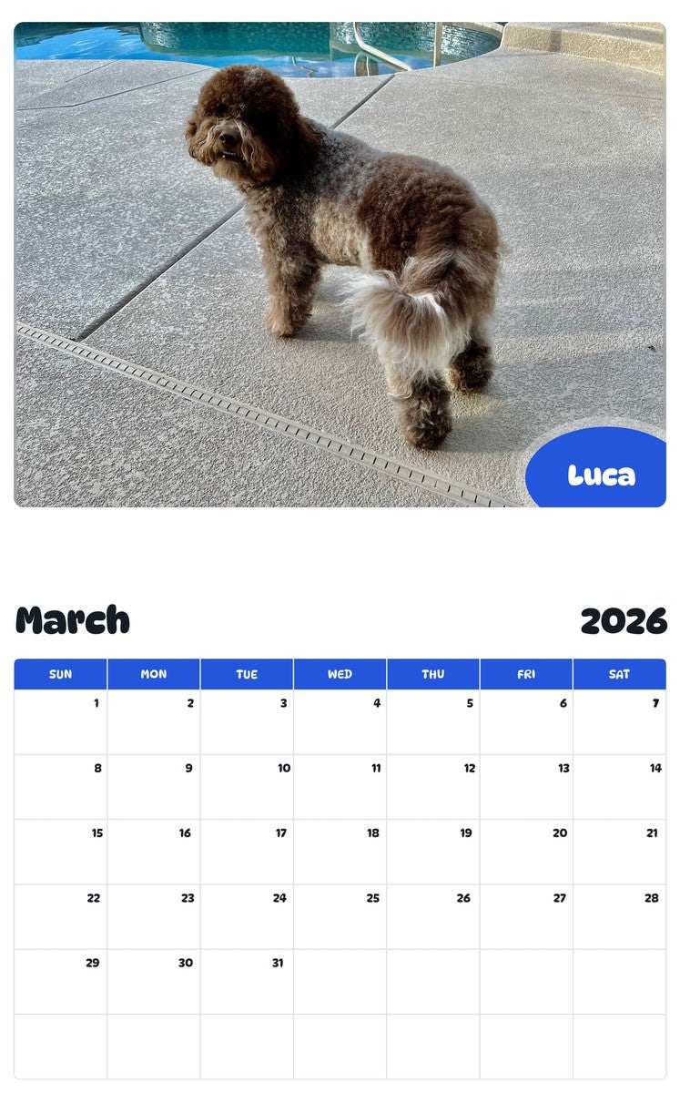 November 2025 - October 2026 Luca - Pawidols Pet Calendar