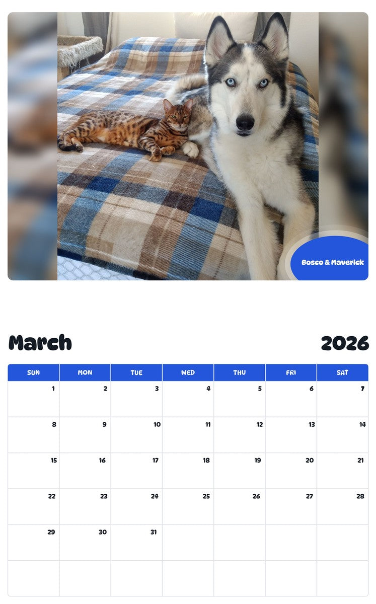 November 2025 - October 2026 Bosco & Maverick - Pawidols Pet Calendar