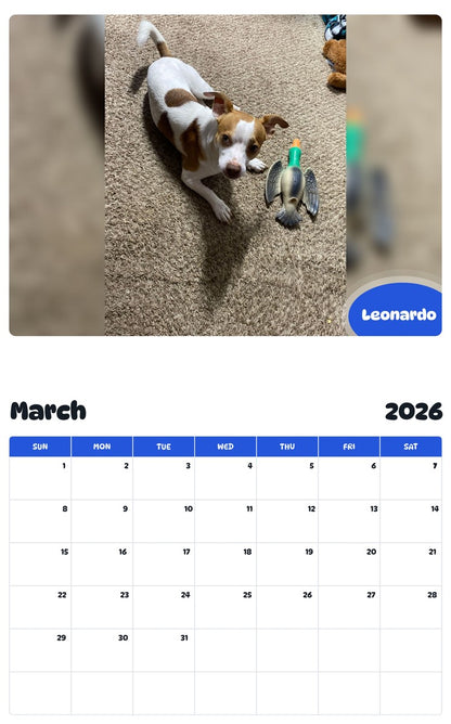 November 2025 - October 2026 Leonardo - Pawidols Pet Calendar