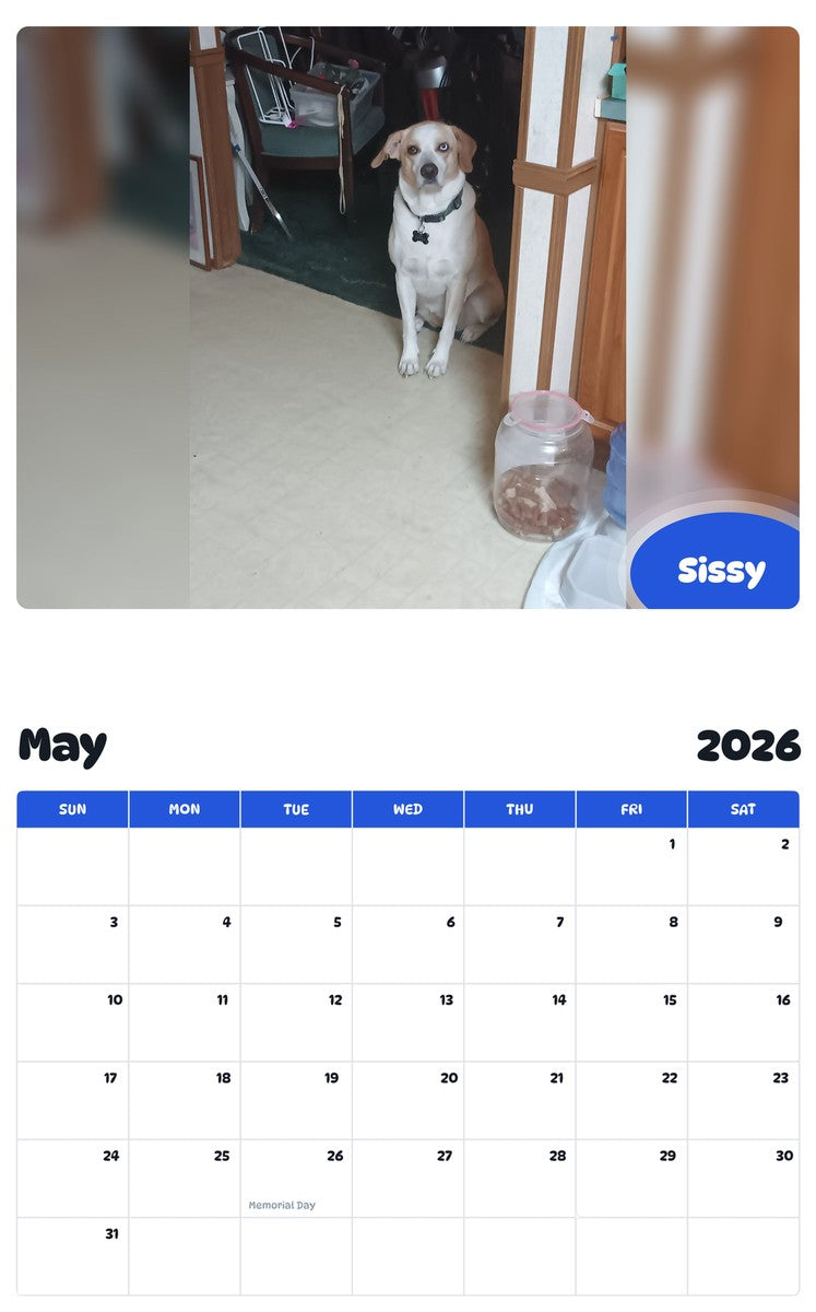 2026 - 2027 Sissy - Pawidols Pet Calendar