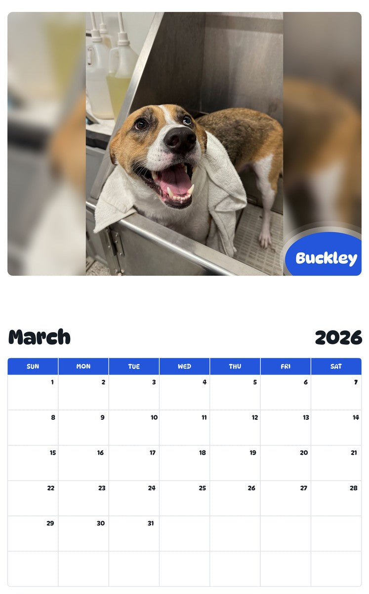November 2025 - October 2026 Buckley - Pawidols Pet Calendar