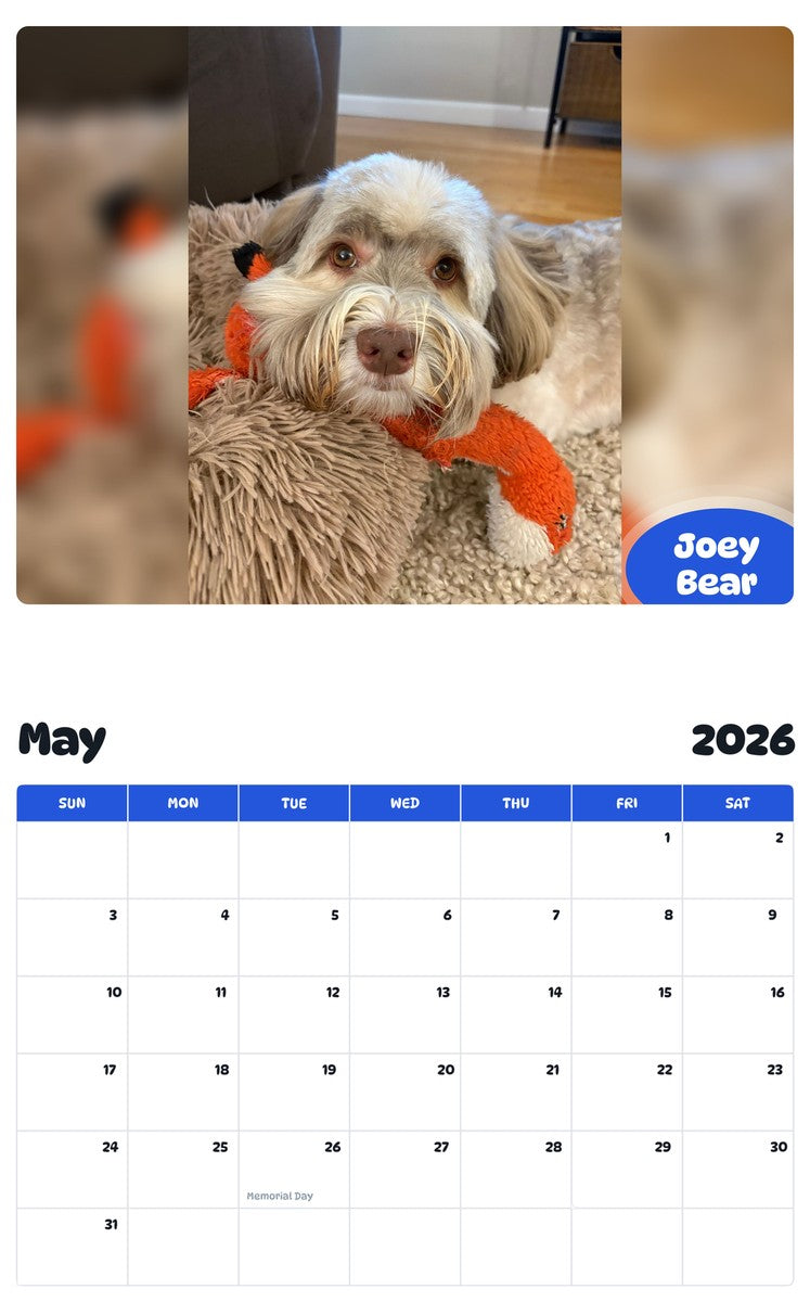 2026 - 2027 Joey Bear - Pawidols Pet Calendar