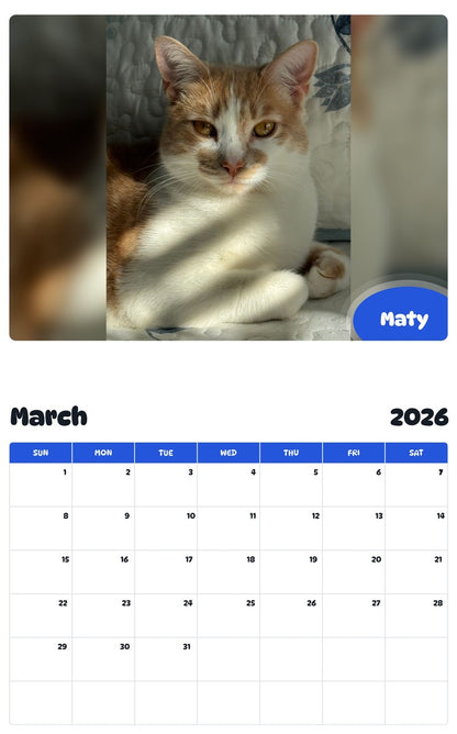 November 2025 - October 2026 Maty - Pawidols Pet Calendar