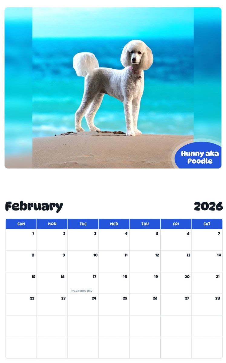 October 2025 - September 2026 Hunny aka Poodle - Pawidols Pet Calendar