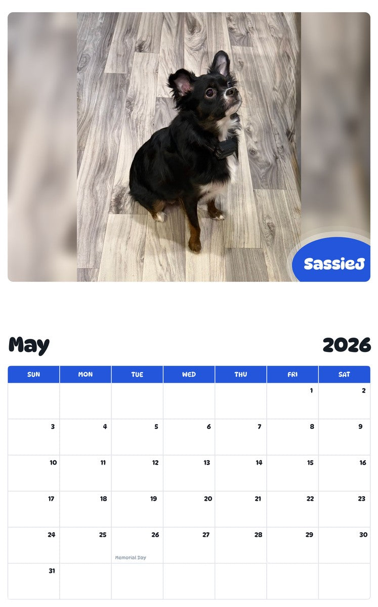 2026 - 2027 SassieJ - Pawidols Pet Calendar