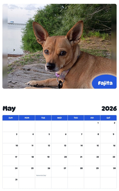2026 - 2027 Fajita - Pawidols Pet Calendar