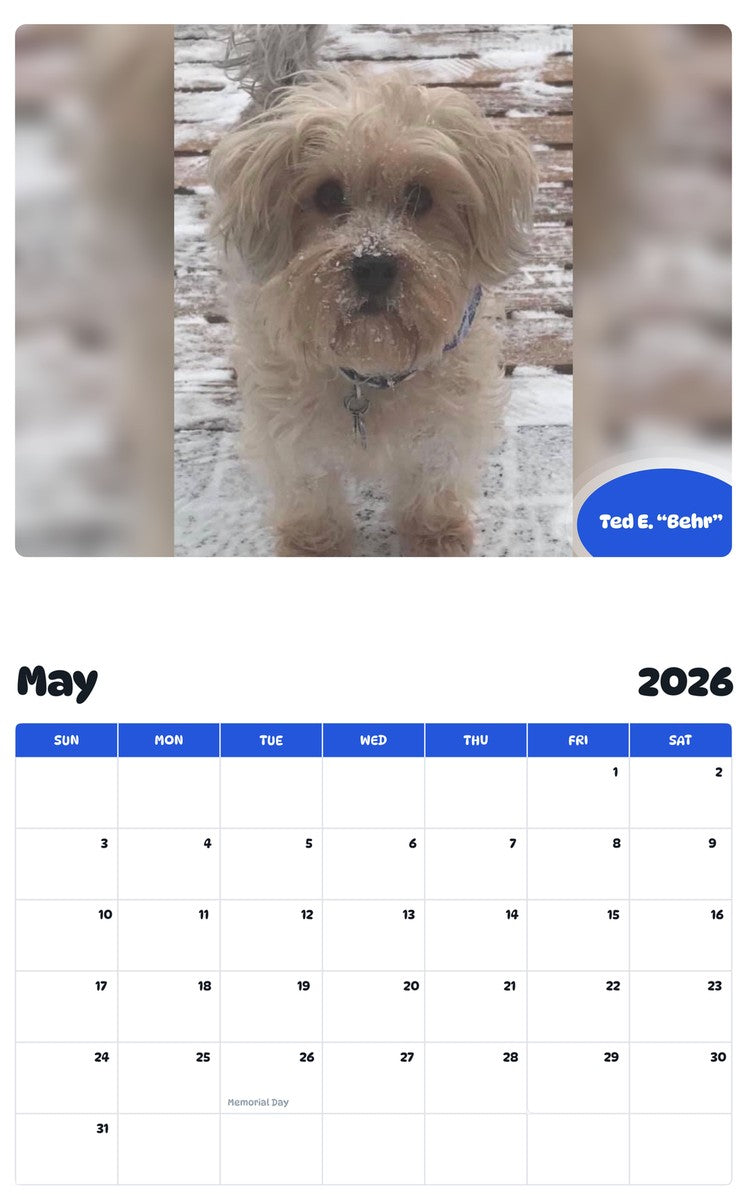 2026 - 2027 Ted E. “Behr” - Pawidols Pet Calendar