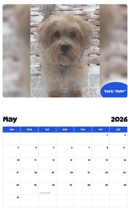 2026 - 2027 Ted E. “Behr” - Pawidols Pet Calendar