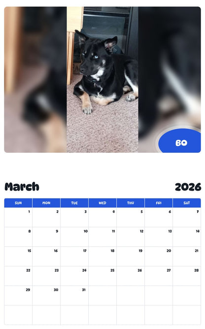 November 2025 - October 2026 BO - Pawidols Pet Calendar
