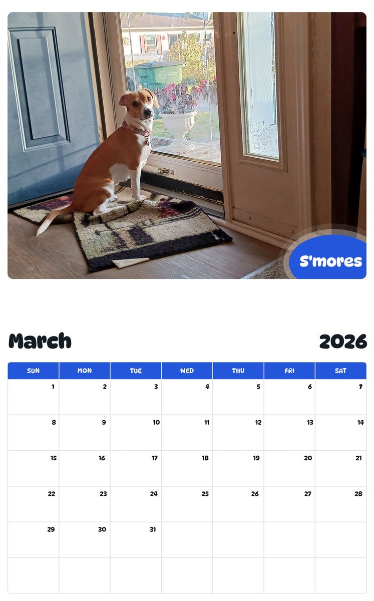 November 2025 - October 2026 S'mores - Pawidols Pet Calendar