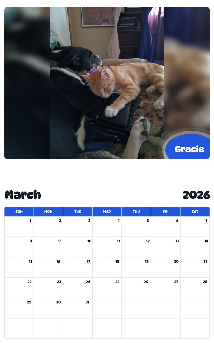 November 2025 - October 2026 Gracie - Pawidols Pet Calendar