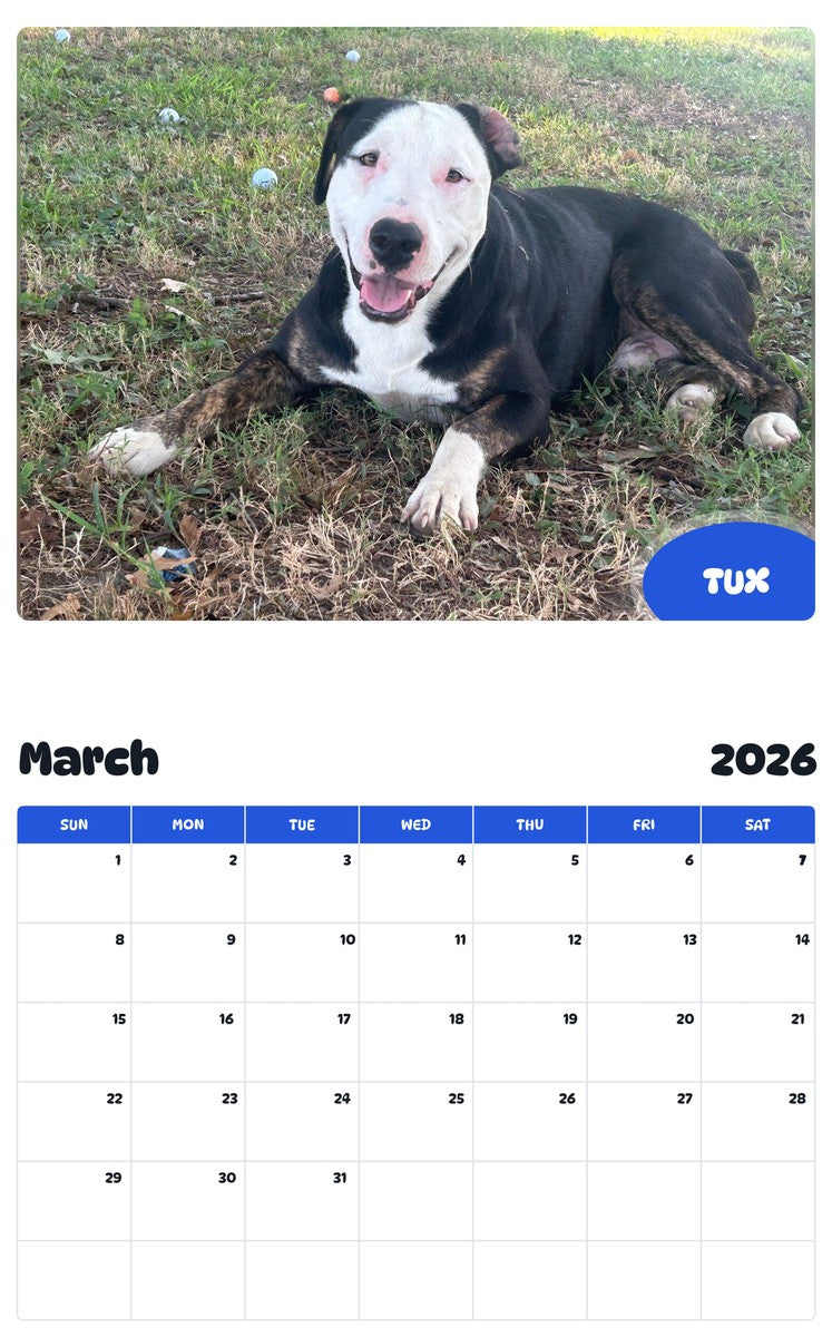 November 2025 - October 2026 TUX - Pawidols Pet Calendar