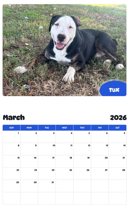 November 2025 - October 2026 TUX - Pawidols Pet Calendar