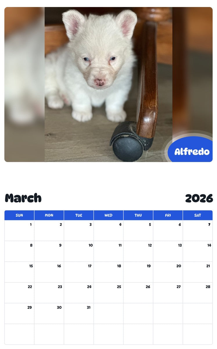 November 2025 - October 2026 Alfredo - Pawidols Pet Calendar
