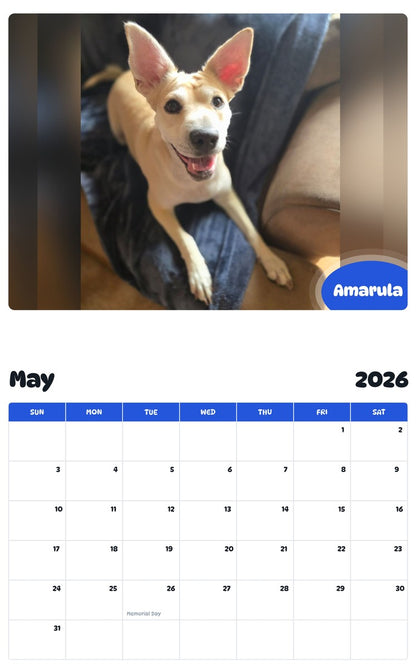 2026 - 2027 Amarula - Pawidols Pet Calendar