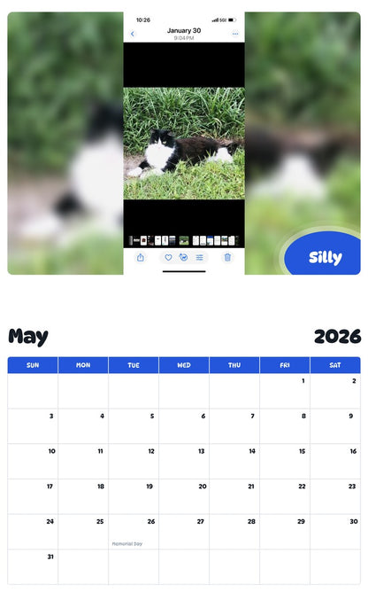 2026 - 2027 Silly - Pawidols Pet Calendar