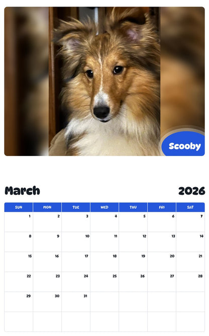 November 2025 - October 2026 Scooby - Pawidols Pet Calendar
