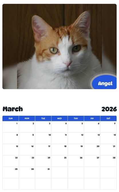 November 2025 - October 2026 Angel - Pawidols Pet Calendar