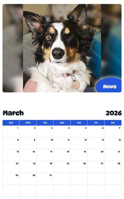 November 2025 - October 2026 Nova - Pawidols Pet Calendar