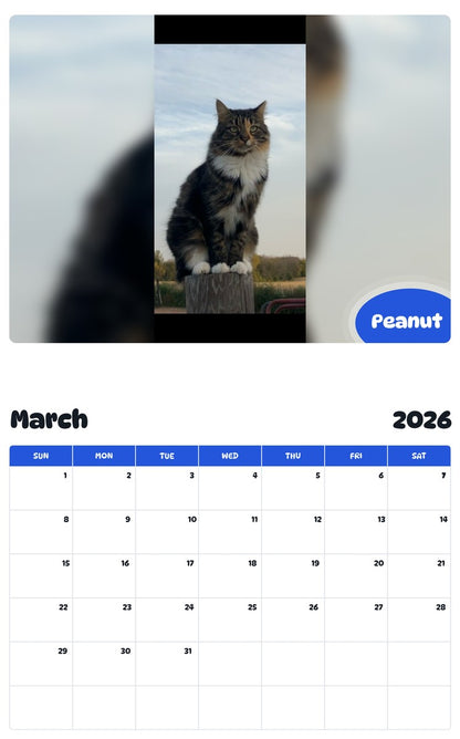 November 2025 - October 2026 Peanut - Pawidols Pet Calendar